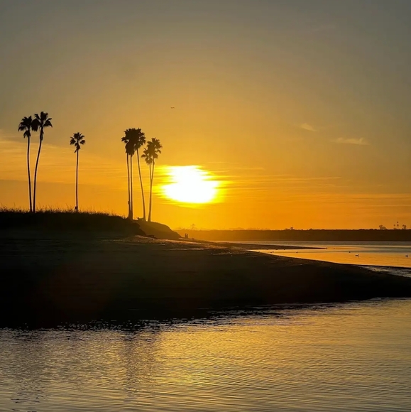 Meet your Posher, Katie - Picture 2 of 3